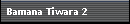 Bamana Tiwara 2