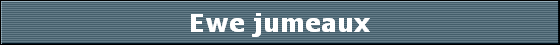 Ewe jumeaux